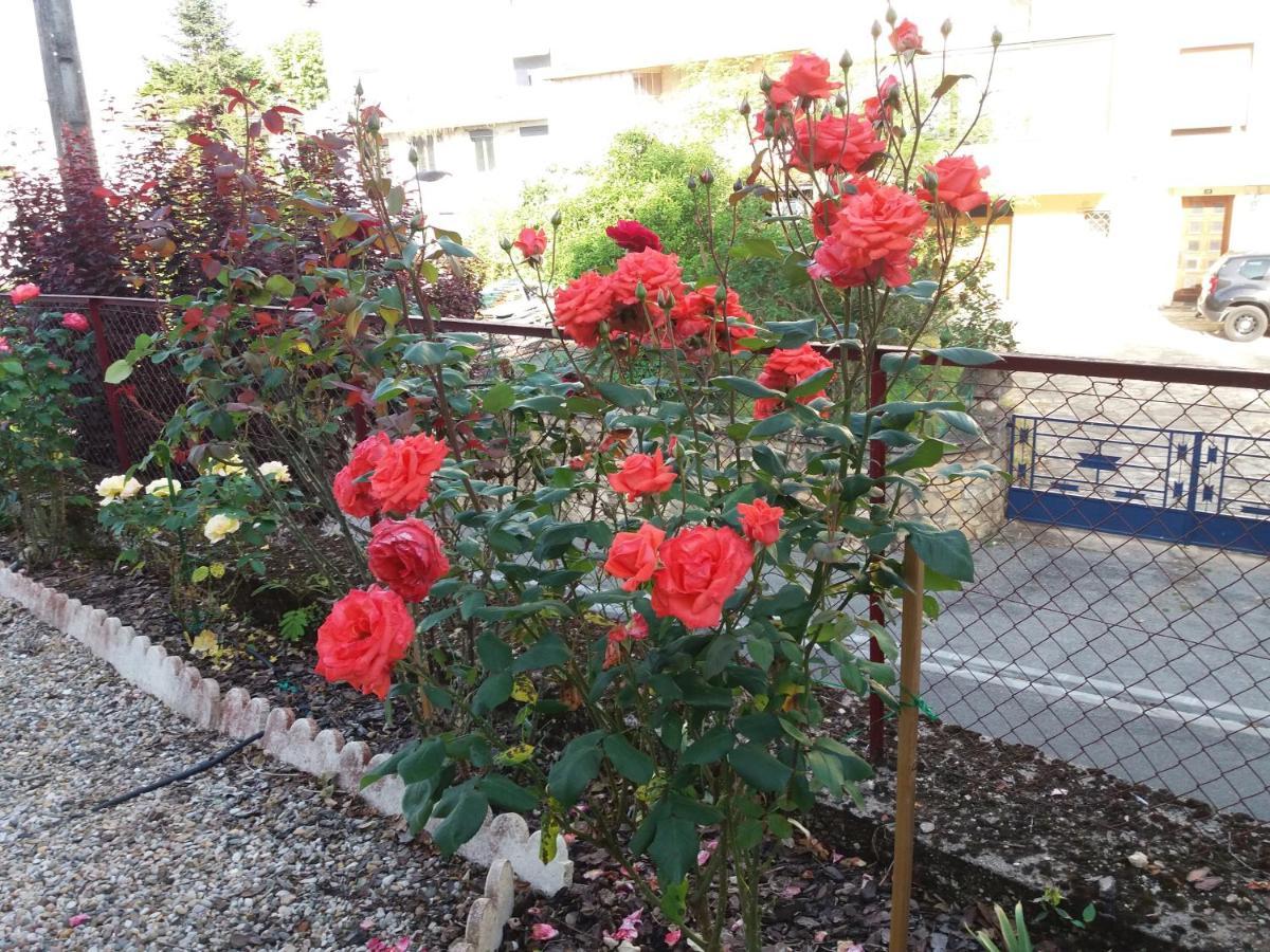 Bed And Breakfast Les Roses Multicolores Du 47 Fumel Ngoại thất bức ảnh